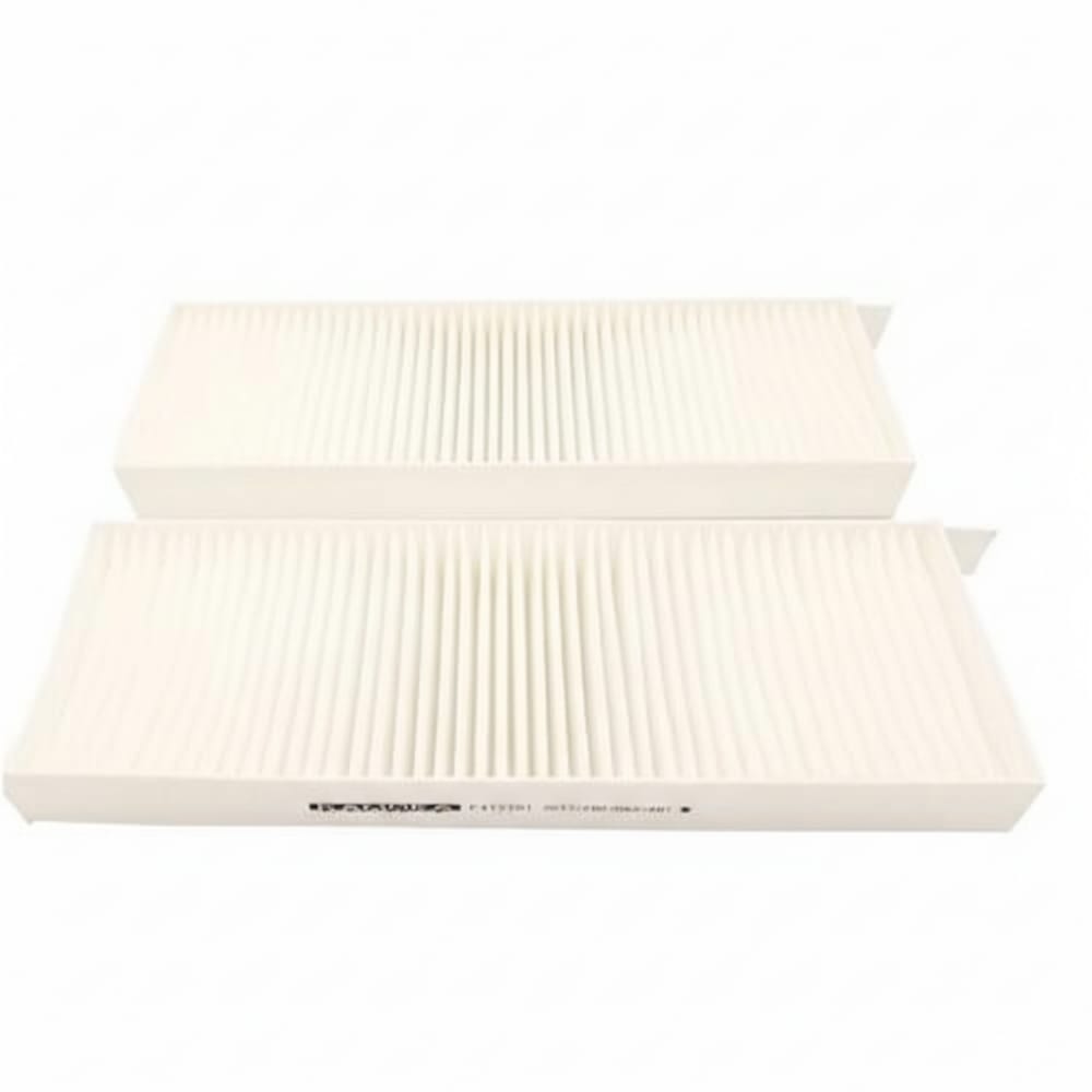 Peugeot 3008  Partner  5008 AC Filter - Polish