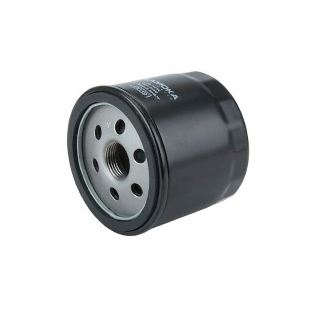 New oil filter for Koleos, Fluence, Safrane, Megane, and Duster.