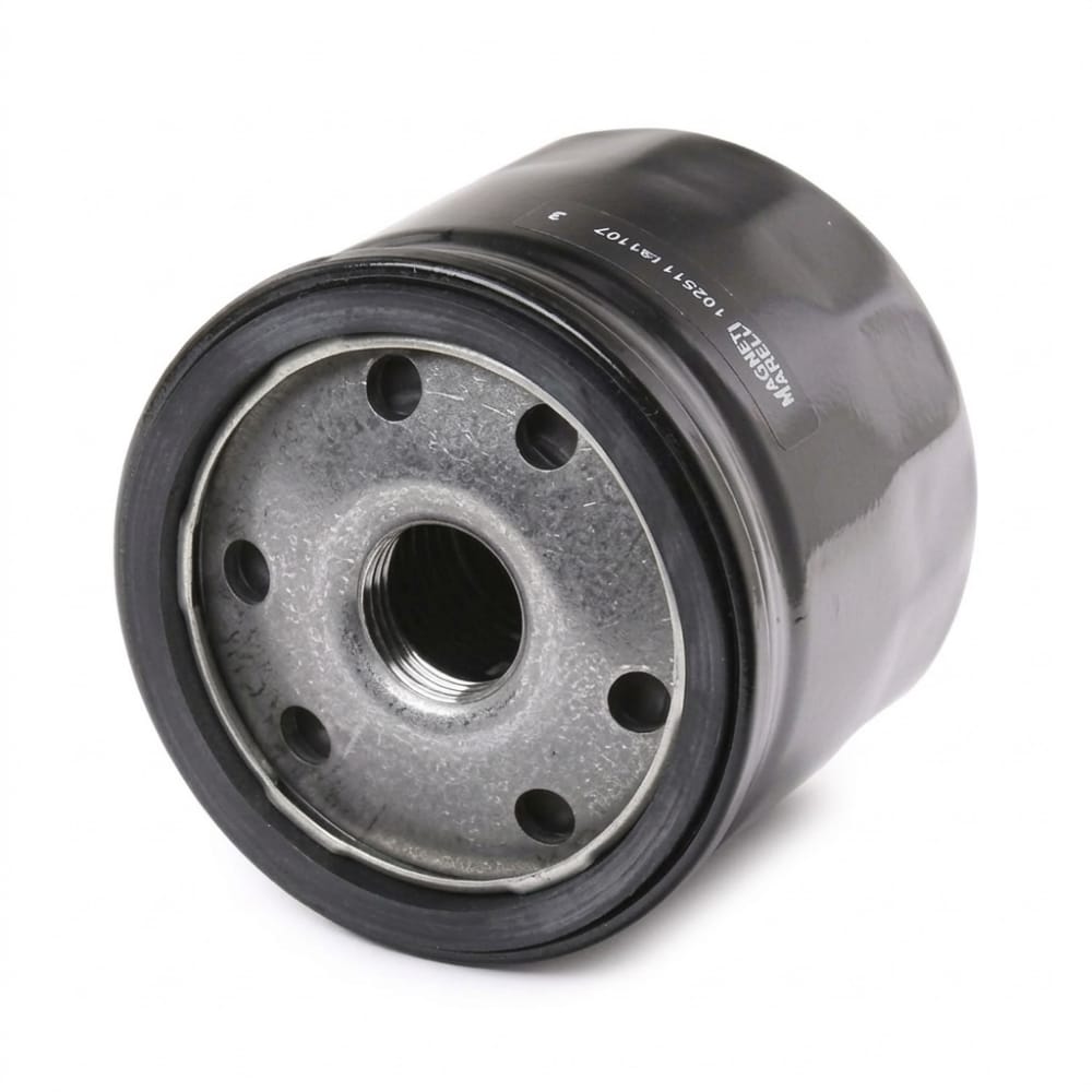 Oil filter for Duster, Dokker, and Symbol.